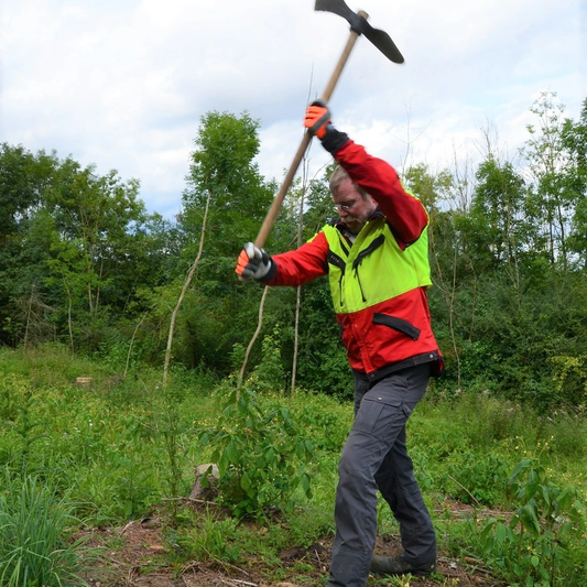 Festmeter Story - Waldbäume Pflanzen - Wie geht das eigentlich?