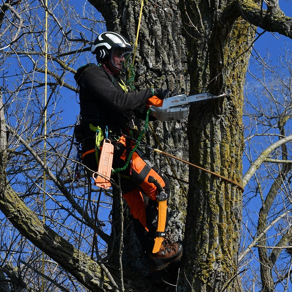 Stark im Baum: MSA 202 T