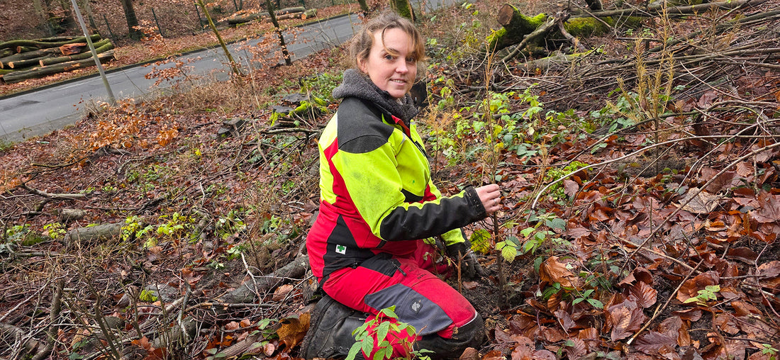 Clemens - Zäune & mehr