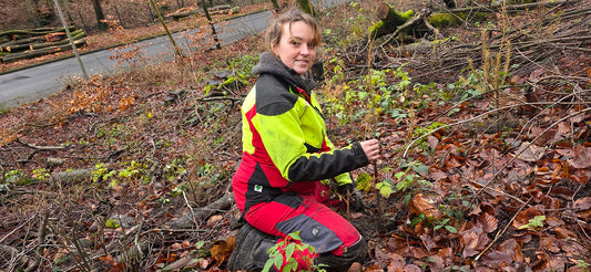 Clemens - Zäune & mehr